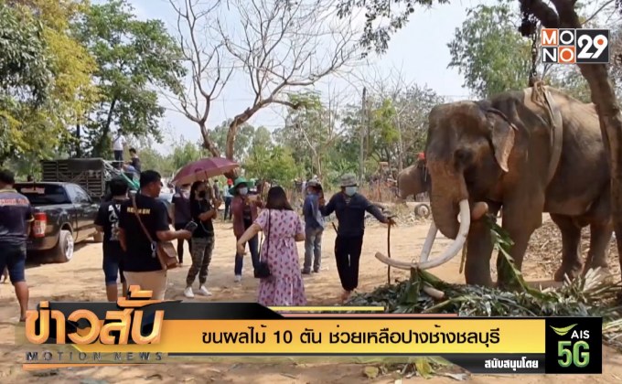 ขนผลไม้ 10 ตัน ช่วยเหลือปางช้างชลบุรี