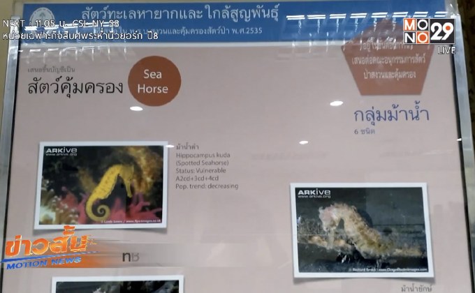 ทช.เผยภาพรวมสถานการณ์สัตว์ทะเลหายาก