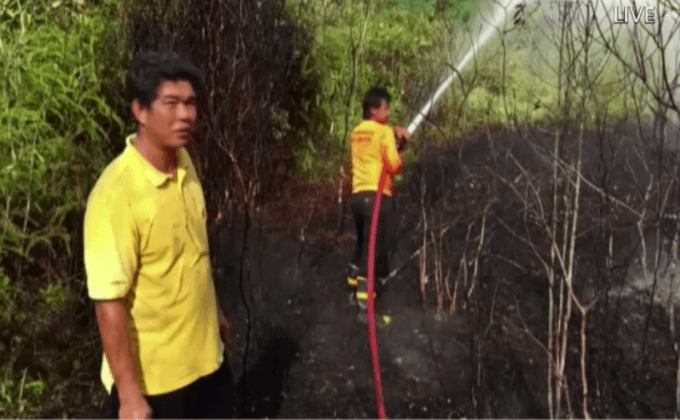 ไฟไหม้ป่าพรุตะกั่วป่าเสียหาย 100 ไร่