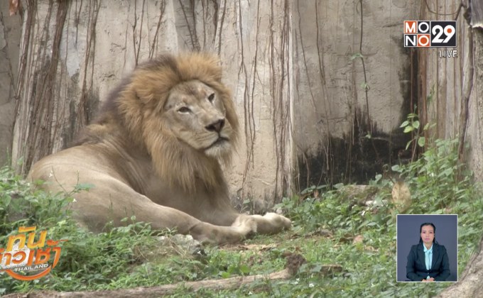 สวนสัตว์เชียงใหม่ นำหลักวิทยาศาสตร์ดูแลสัตว์
