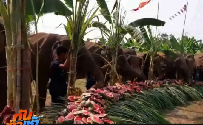 เลี้ยงโต๊ะจีนช้าง จ.กาญจนบุรี