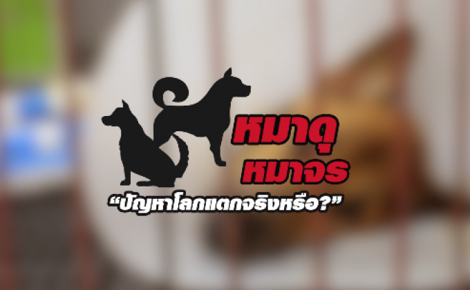 คุยครบกับพบเอก : ปัญหา “สุนัขของไทย” แก้ไขไม่ได้จริงหรือ?