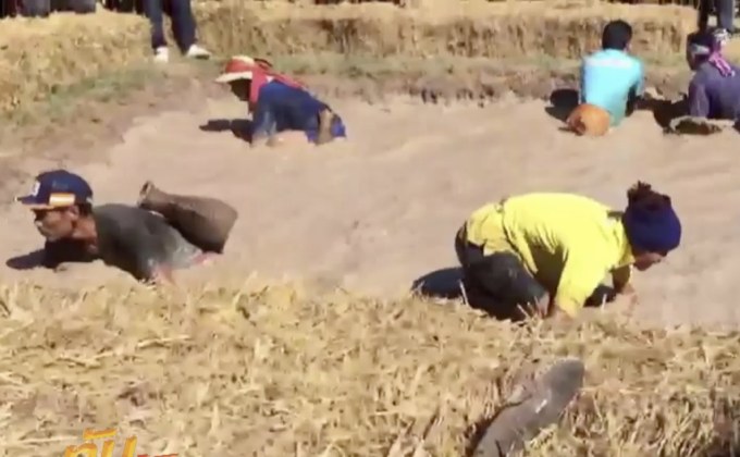 สนุกสุดมันส์! แข่งจับปลาไหลนานาชาติ