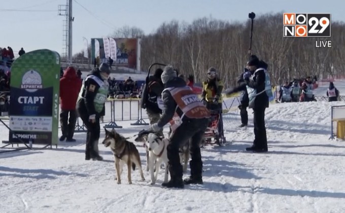 การแข่งขันสุนัขลากเลื่อนทางไกลในรัสเซีย