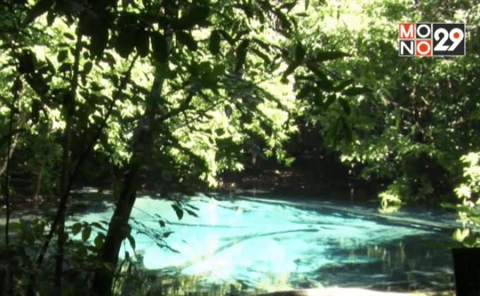 ปิดพื้นที่เหนือสระมรกตค้นหา “นกแต้วแล้วท้องดำ”