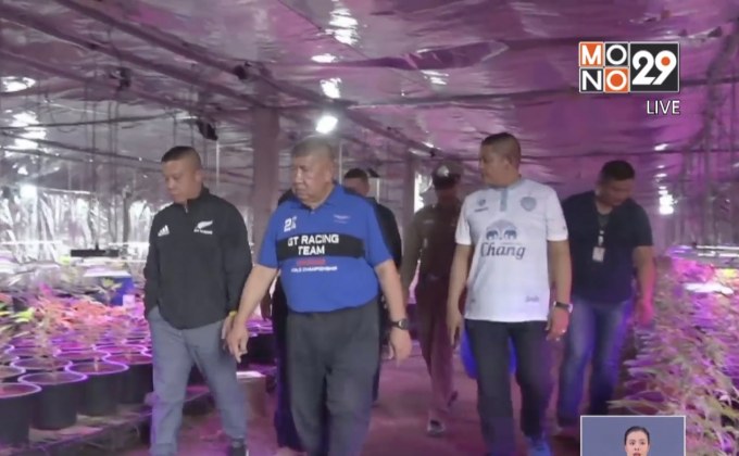 บุกทลายโรงเรือนปลูกกัญชาออร์แกนิค จ.นครราชสีมา