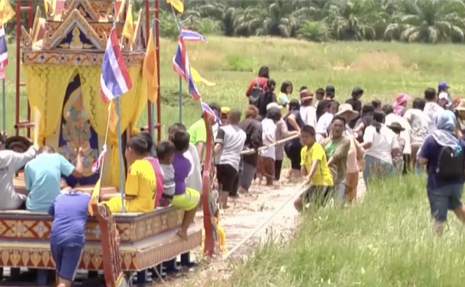 ฮือฮา! ประเพณีชักพระบก เมืองสุราษฎร์ฯ