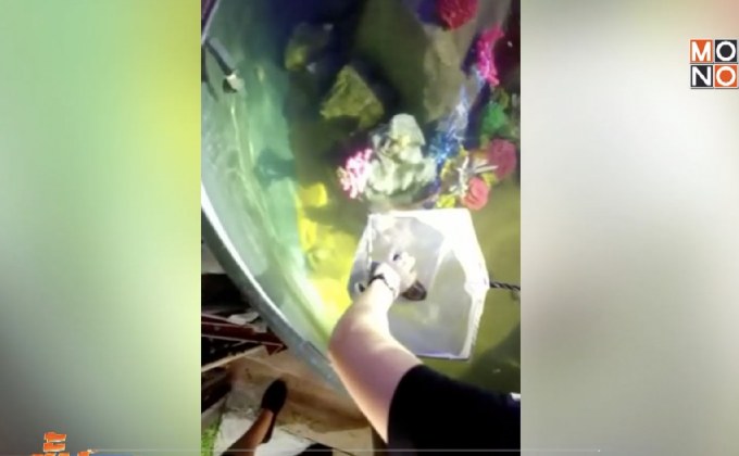 ปิดคดีขโมยฉลามในพิพิธภัณฑ์สัตว์น้ำ