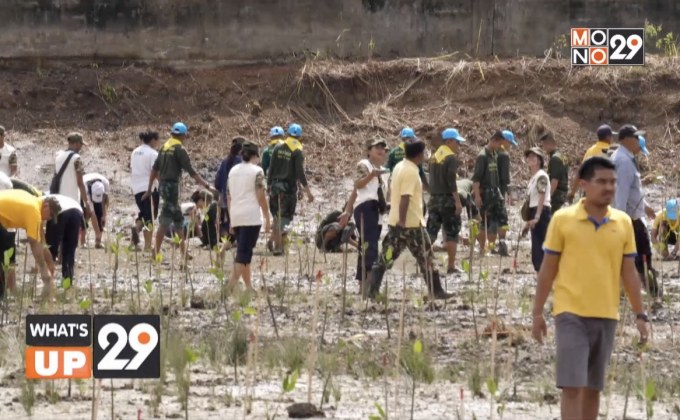 กฟผ. มุ่งมั่นดำเนินโครงการปลูกป่าอย่างยั่งยืน