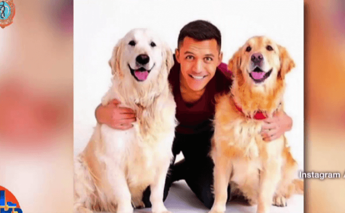 “อเล็กซิส” เปิดอินสตาแกรมให้เจ้าตูบแสนรัก