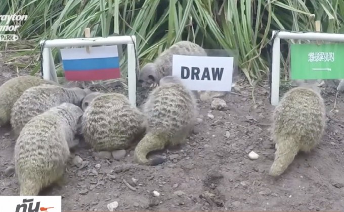 เมียร์แคตทำนาย “รัสเซีย” คว้าชัยเปิดสนามบอลโลก