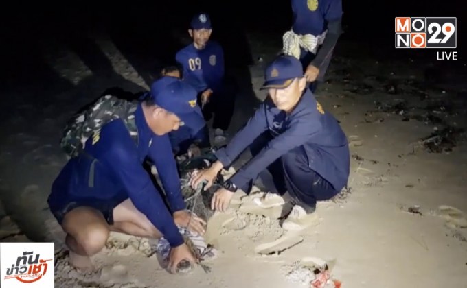 ตามจับได้แล้ว “เจ้ายะนุ้ย” จระเข้ทะเลภูเก็ต