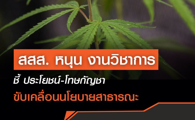 สสส. หนุน งานวิชาการ ชี้ ประโยชน์-โทษกัญชา ขับเคลื่อนนโยบายสาธารณะ