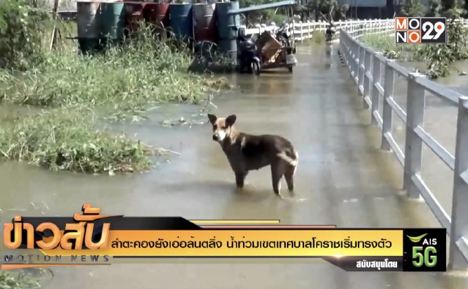 ลำตะคองยังเอ่อล้นตลิ่ง น้ำท่วมเขตเทศบาลโคราชเริ่มทรงตัว