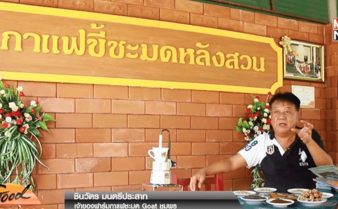 กาแฟขี้ชะมดของดีเมืองชุมพร ตอน 2