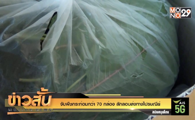 จับพืชกระท่อมกว่า 70 กล่อง ลักลอบส่งทางไปรษณีย์