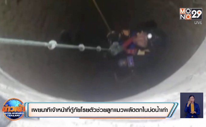 เผยนาทีเจ้าหน้าที่กู้ภัยโรยตัวช่วยลูกแมวพลัดตกในบ่อน้ำเก่า