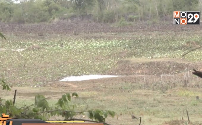 ผลกระทบภัยแล้งภาคอีสาน