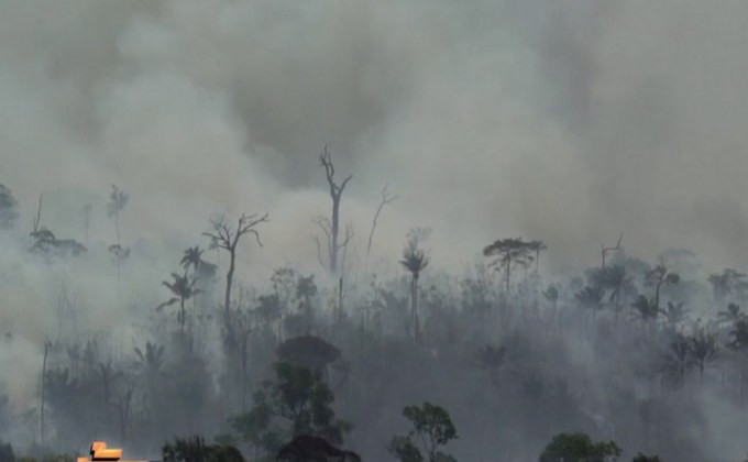 บราซิลพร้อมรับความช่วยเหลือดับไฟป่า