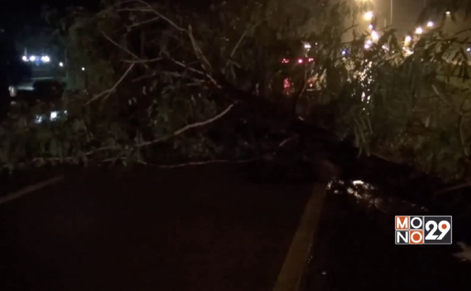 พายุฝนตกหนักต้นไม้ล้มขวางถนน จ.ลำปาง