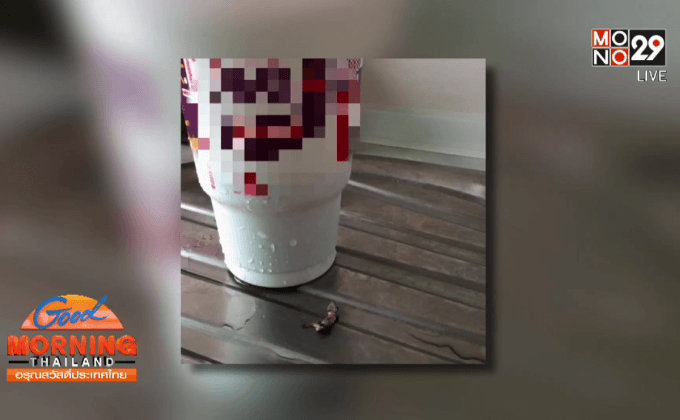 หนุ่มแทบอ้วก เจอจิ้งจกตายในแก้วน้ำร้านฟ้าสต์ฟู้ด