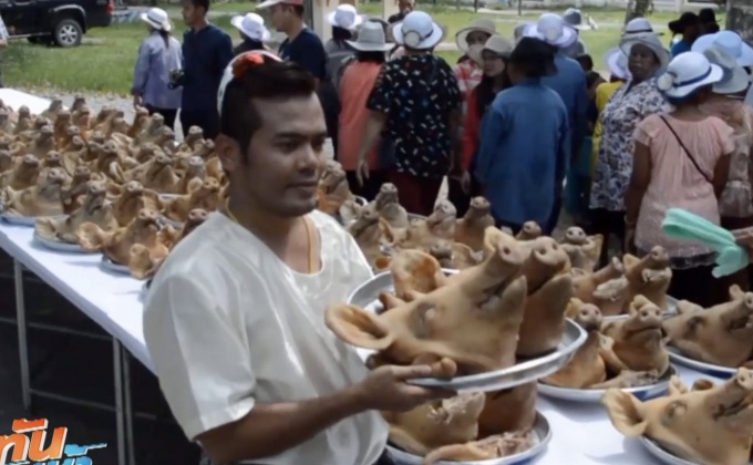 ฮือฮา ขบวนแห่แก้บนหัวหมู-ไข่ไก่ 999 ฟอง