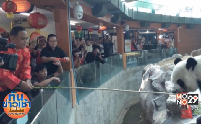 มอบอั่งเปาแพนด้า ช่วงช่วง-หลินฮุ่ย