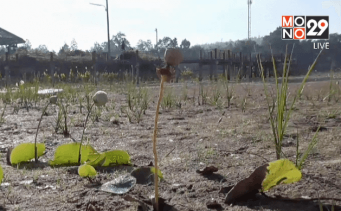 ศูนย์พยาบาล จ.เชียงใหม่ซื้อน้ำสำรองรับภัยแล้ง