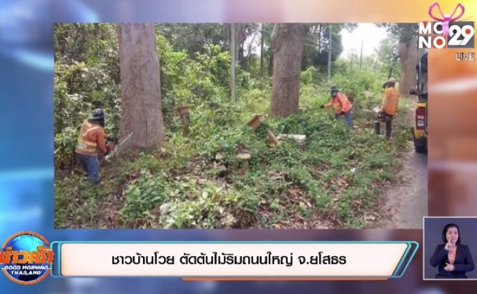 ชาวบ้านโวย ตัดต้นไม้ริมถนนใหญ่ จ.ยโสธร