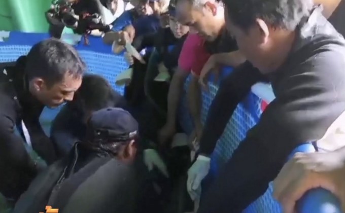 ย้าย “มาเรียม” ขึ้นฝั่ง ยังอ่อนแอต้องดูแลใกล้ชิด