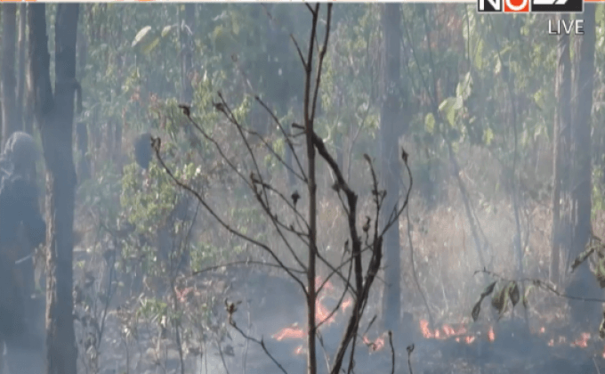 เกิดไฟป่าเขตพื้นที่สวนสัตว์ขอนแก่น