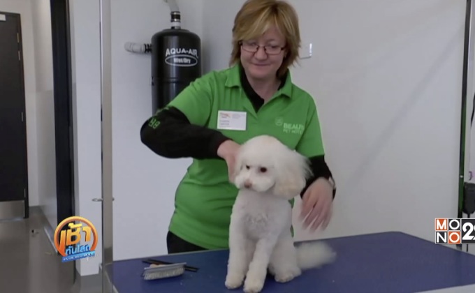 โรงแรมสัตว์เลี้ยงระดับห้าดาว เพื่อการกุศล