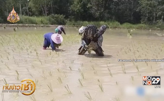 สุดฮา นักล่า ‘พรีเดเตอร์’ โผล่รับจ้างดำนาหาเงินกลับดาว