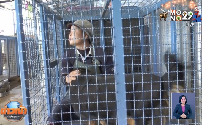 แฉสถานพักพิงซื้อสุนัข เพื่อรับบริจาค