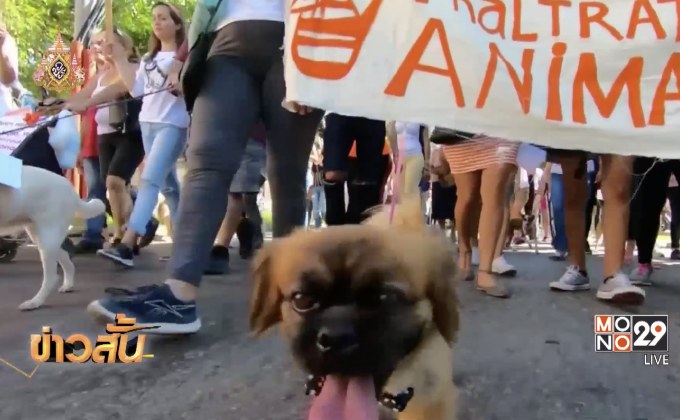 ชาวคิวบาออกมาเดินขบวนต่อต้านการทารุณกรรมสัตว์