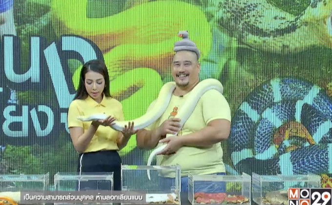 คนเลี้ยงงู