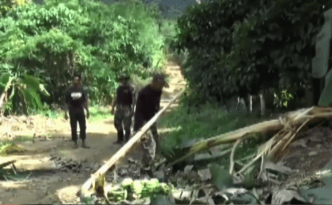 ช้างป่าทำลายสวนกล้วยชาวบ้านเสียหาย