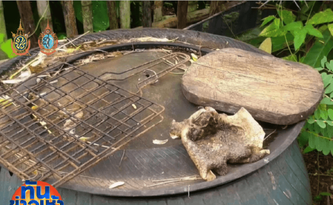 ชาวบ้านกินคางคกปิ้ง ดับทันที 2 ราย