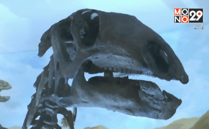 พบฟอสซิลไดโนเสาร์พันธุ์ใหม่ของโลกที่โคราช