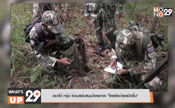 อมาโด้ กรุ๊ป ร่วมสนับสนุนโครงการ “ใครรักป่ายกมือขึ้น”