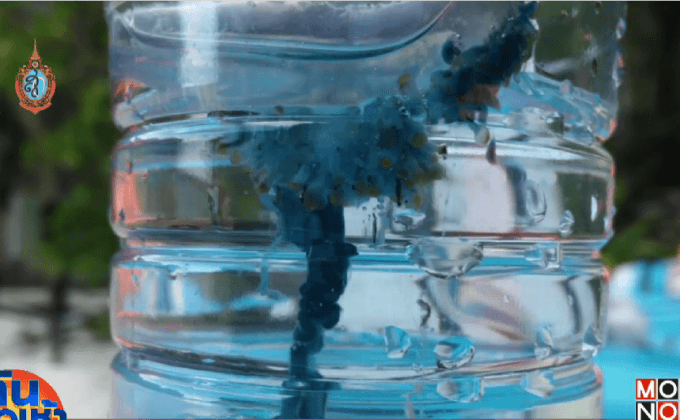 เตือนระวังแมงกะพรุนเรือรบโปรตุเกส โผล่เกาะพีพี