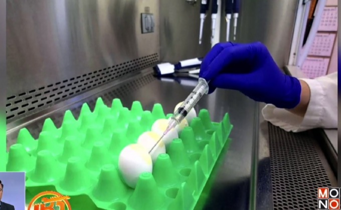 พบไข้หวัดนกชนิด H7 ในฟาร์มสัตว์ปีกของสหรัฐฯ