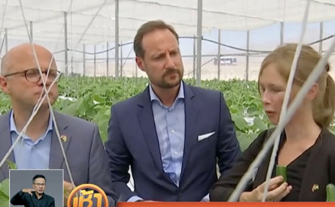 โครงการสีเขียวในทะเลทรายจอร์แดน