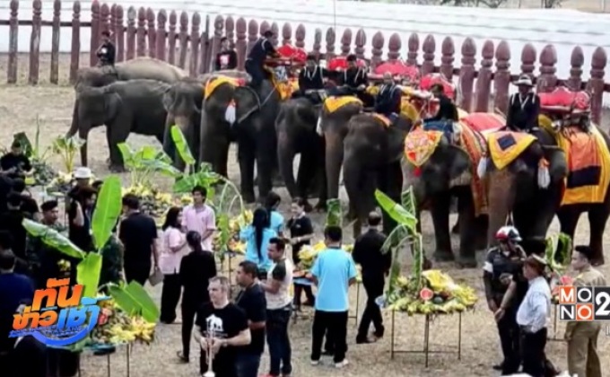 กิจกรรมวันช้างไทย