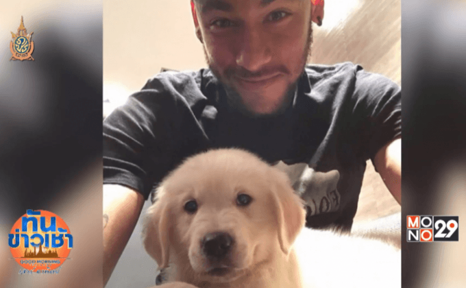 เปิดตัวมะหมา 4 ขาคู่ใจแข้งสตาร์