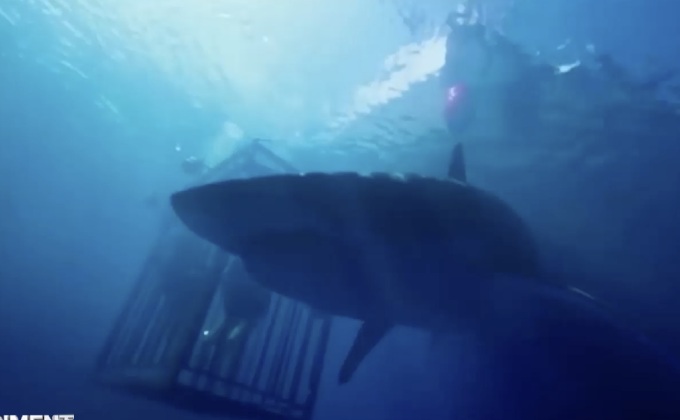 หนังฉลาม 47 Meters Down เปิดตัวแรงติดอันดับหนังอินดี้ทำเงินสูงสุด