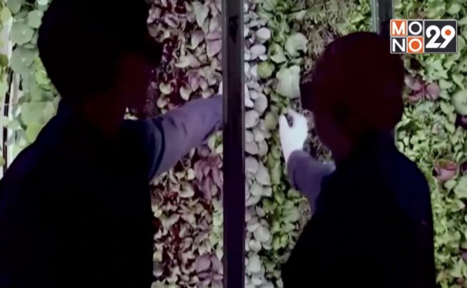 การแข่งขันของธุรกิจฟาร์มแนวตั้งในสหรัฐ