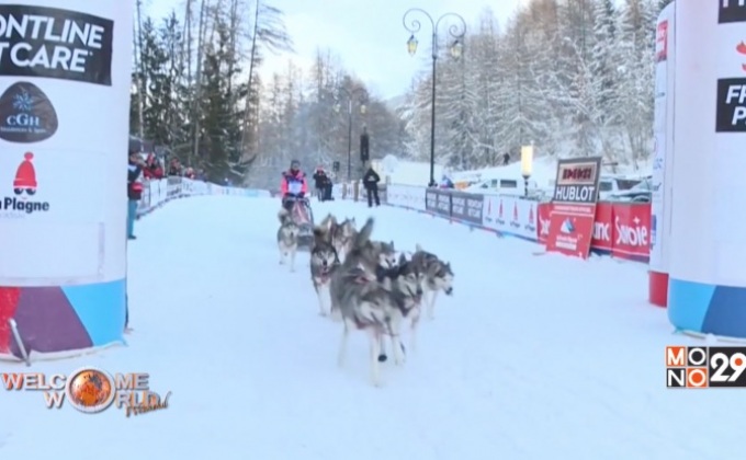 แข่งขันสุนัขลากเลื่อนบนเทือกเขาแอลป์