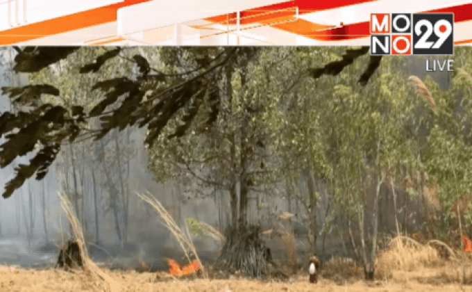 ไฟไหม้ป่าภูหลง จ.ชัยภูมิ เพิ่มความรุนแรง