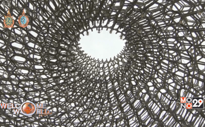 รังผึ้งยักษ์ช่วยไขความลับของผึ้ง